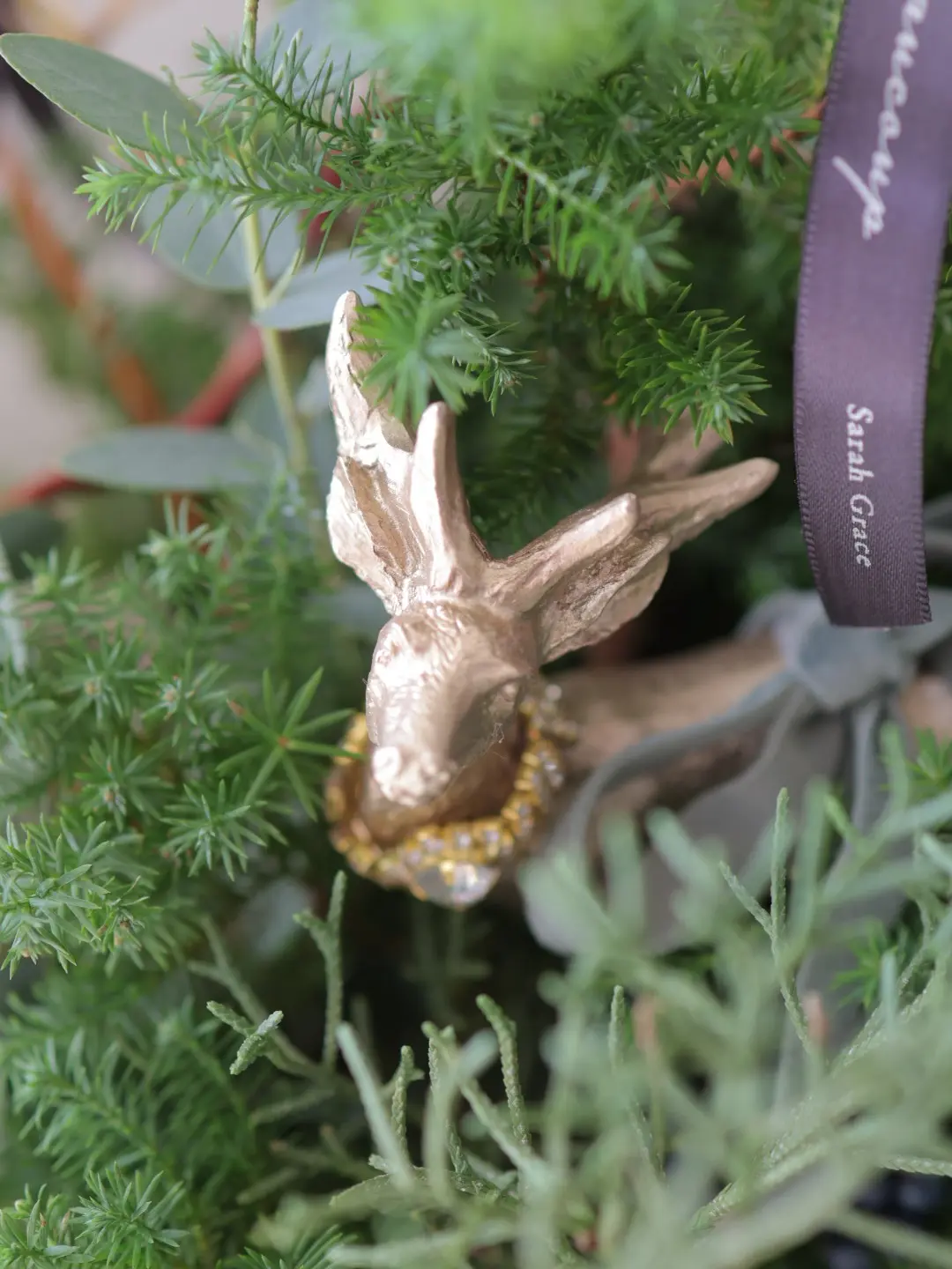 Christmas Treeがラッキーアの画像_3