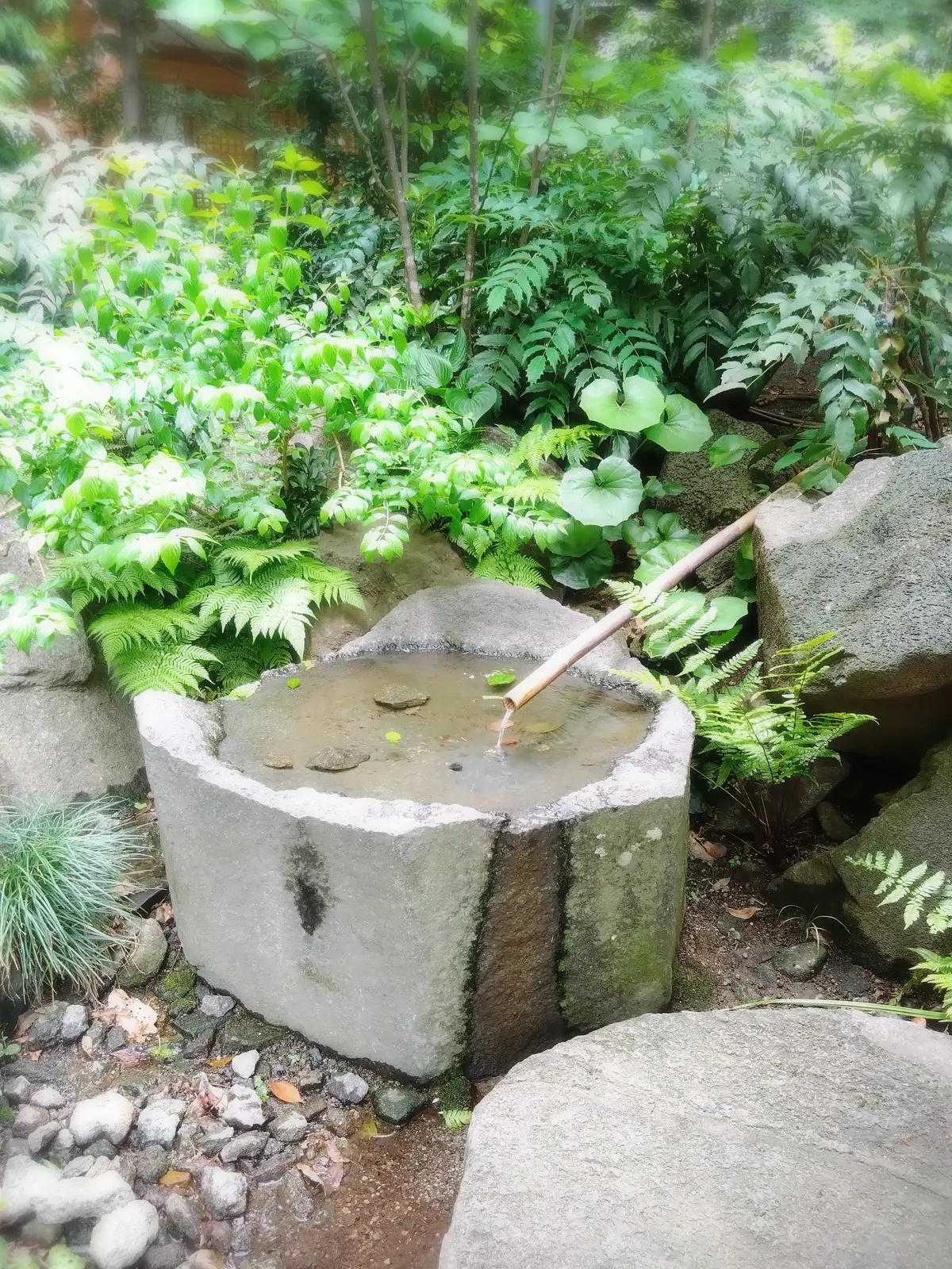福徳神社、芽吹稲荷、日本橋、金運、パワースポット