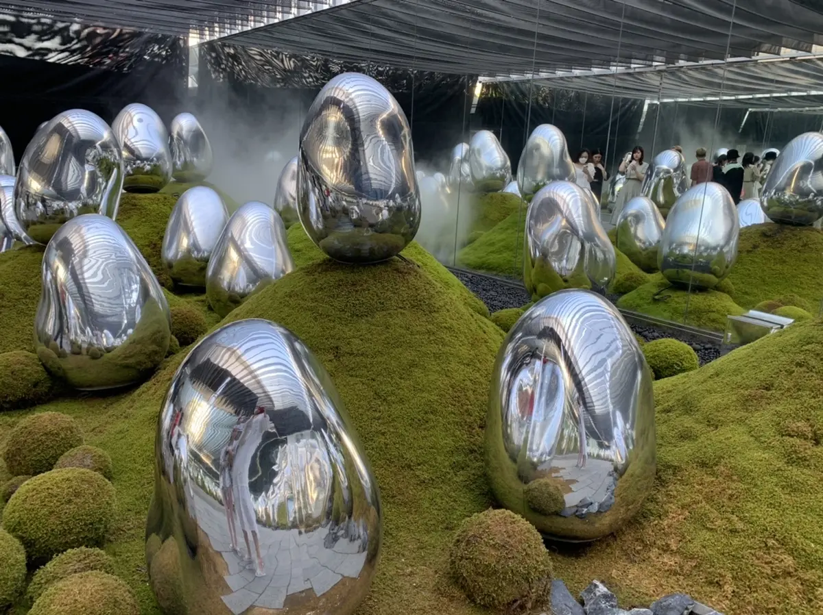 chaos バックでチームラボへの画像_4