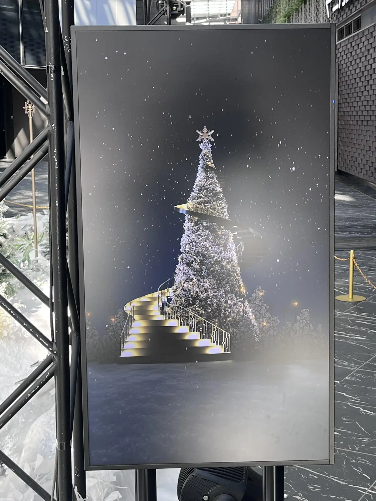 続・続・Jマダムメンバーとキラキラ観賞☆の画像_1