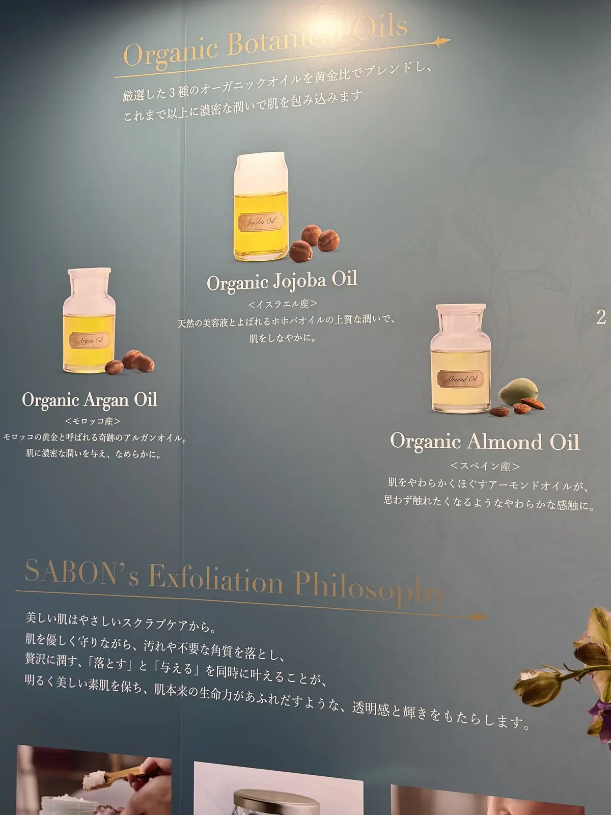 【SABON】No.1ボディスクラブがデの画像_5
