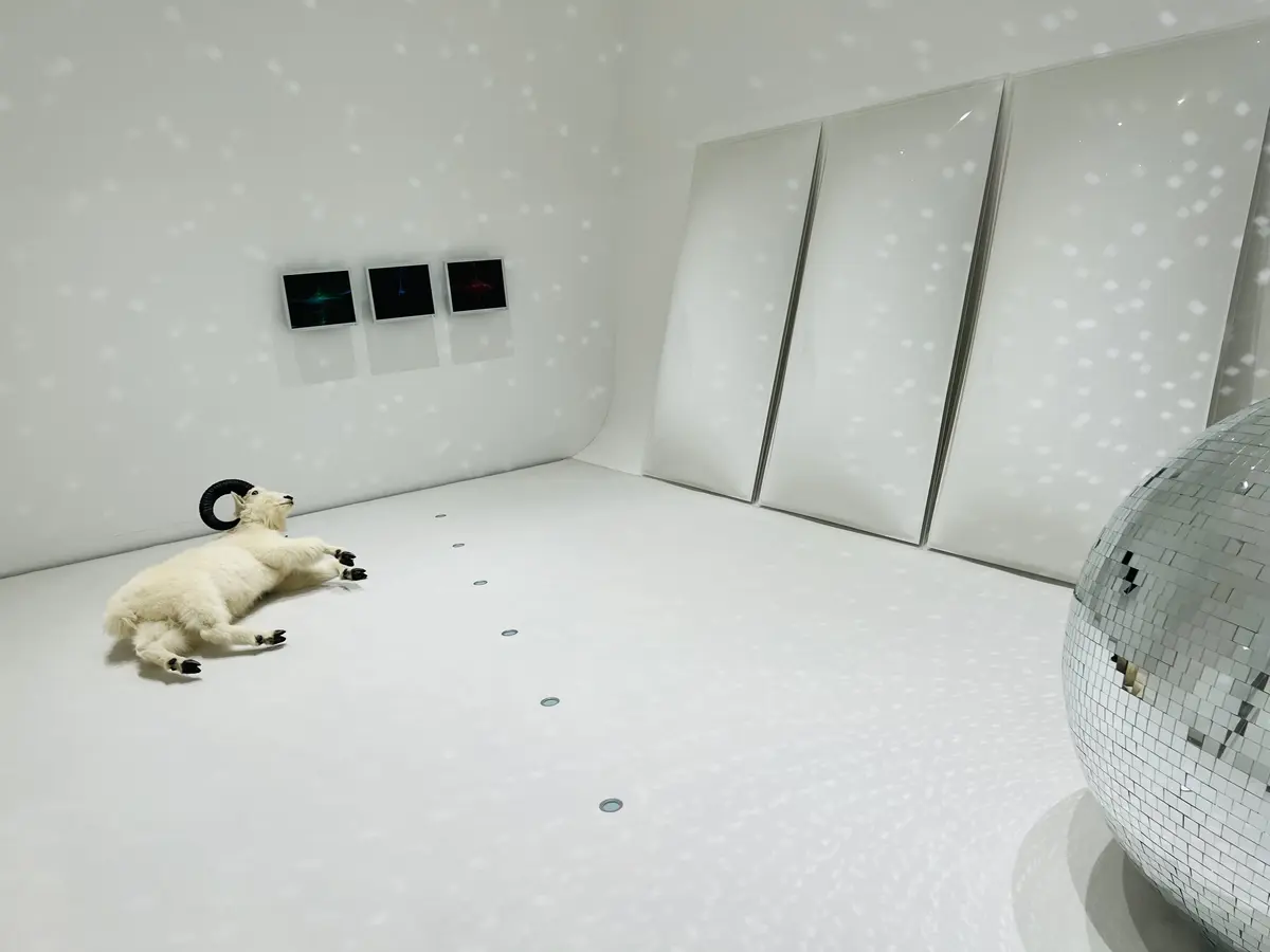 十和田市現代美術館　無題／デッド・スノー・ワールド・システム