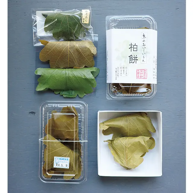 【京都に住む】エッセイスト・仁平 綾さんの画像_5