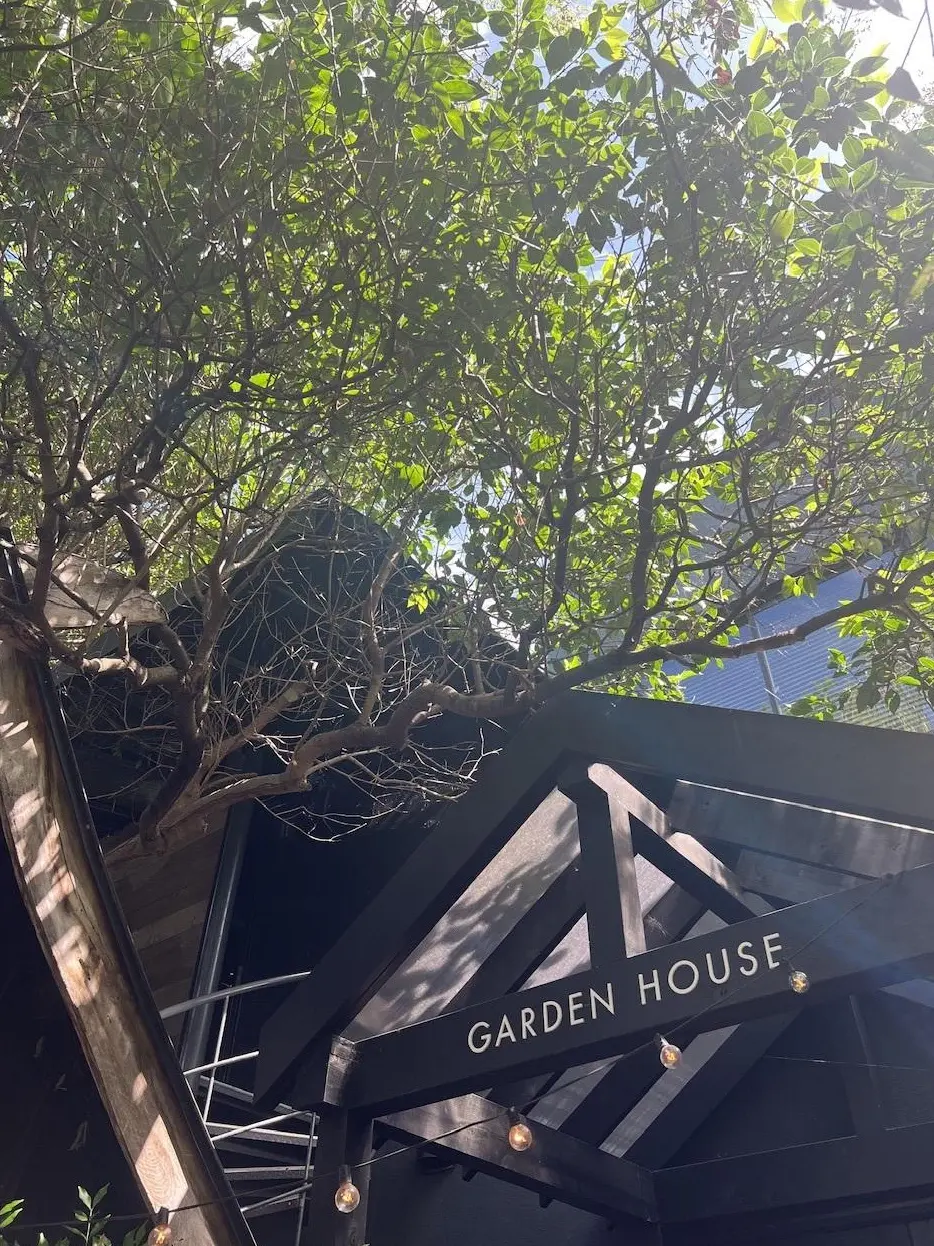 鎌倉でグリーン溢れる開放的なテラスで朝活の画像_1