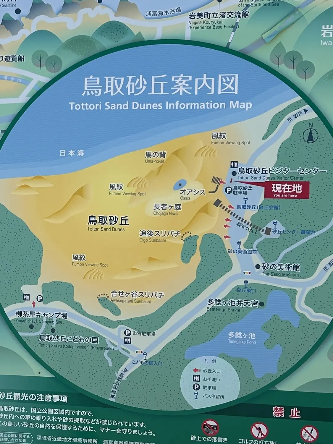 秋の遠足 -11月の鳥取でリフレッシュの画像_3