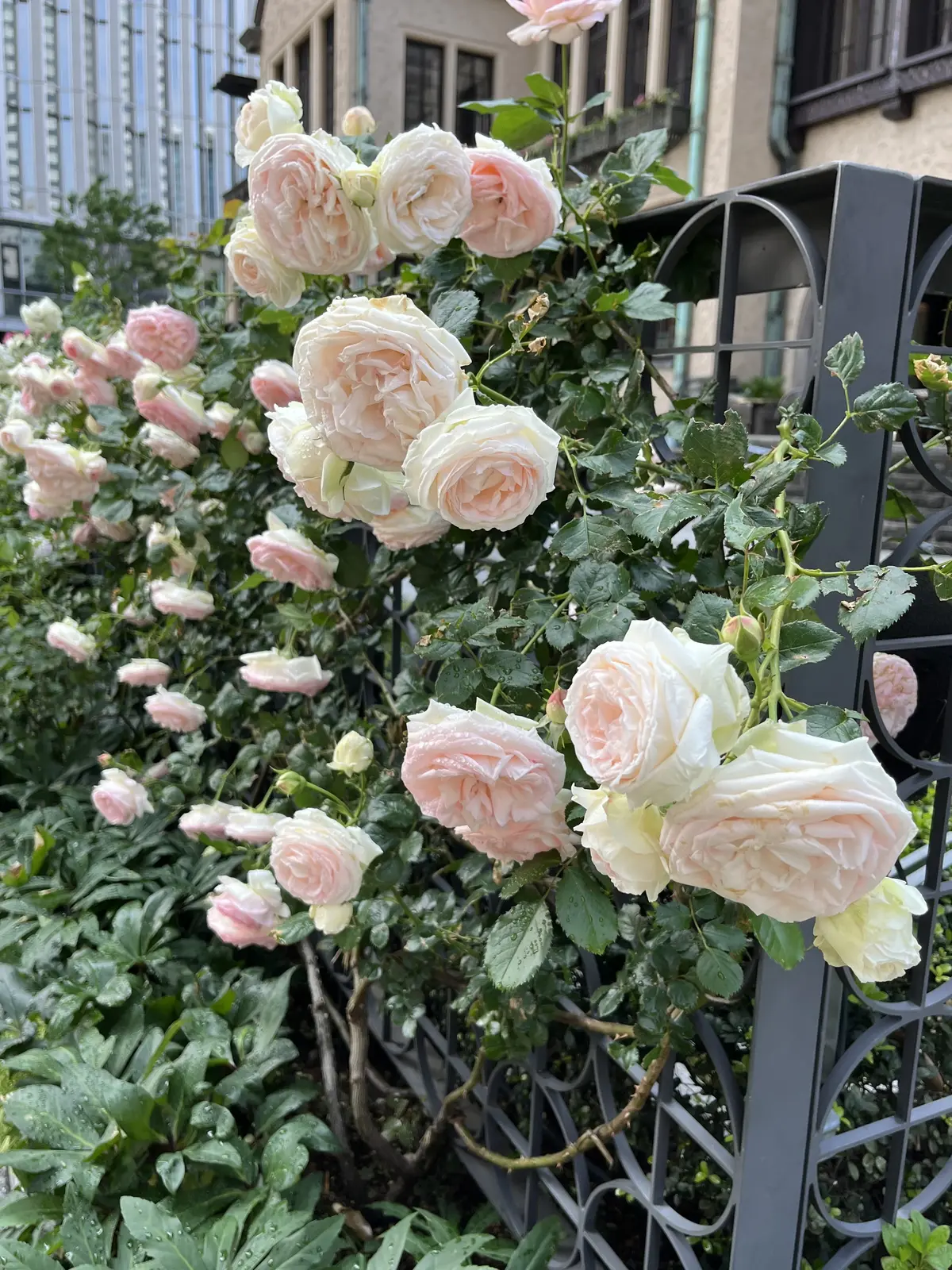 1人時間を楽しむ。銀座＆紀尾井町編その②の画像_4