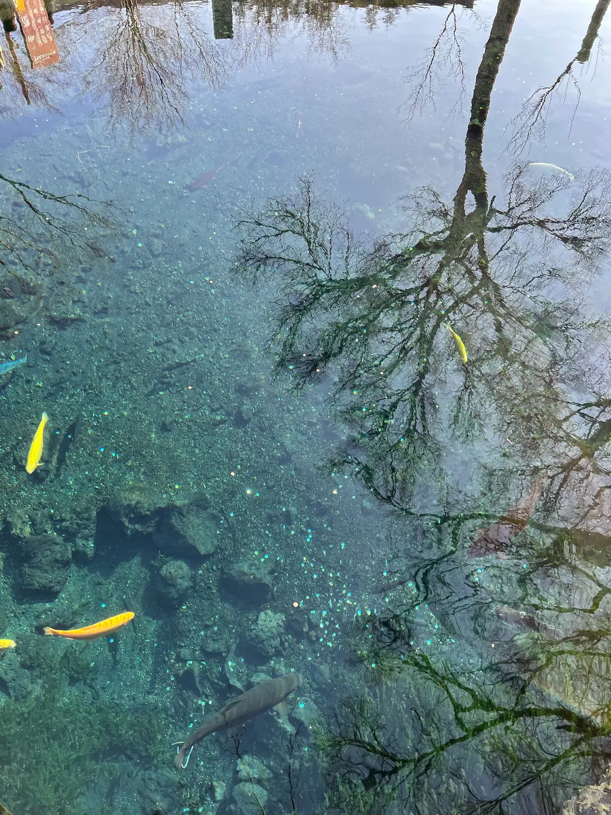 手ぶらで気軽にグランピング‼︎の画像_22