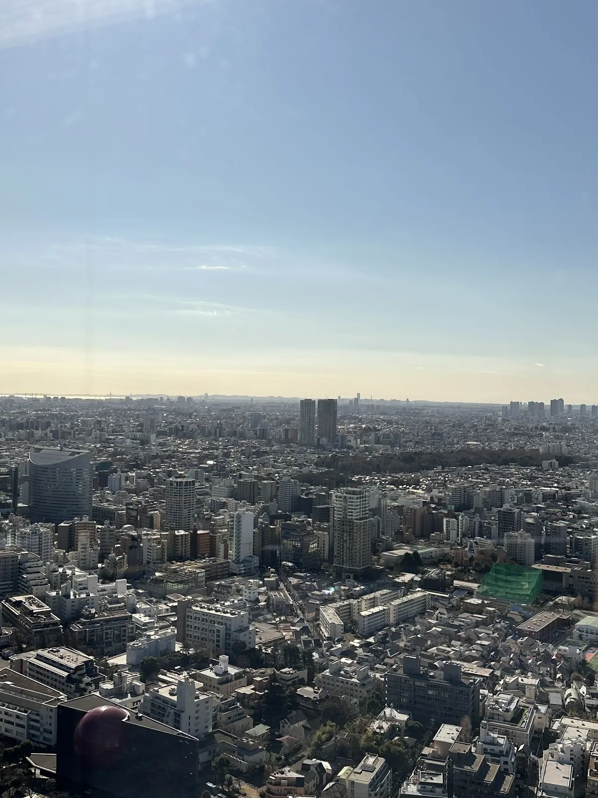 新年会ランチへは明るいNATURALカラの画像_8