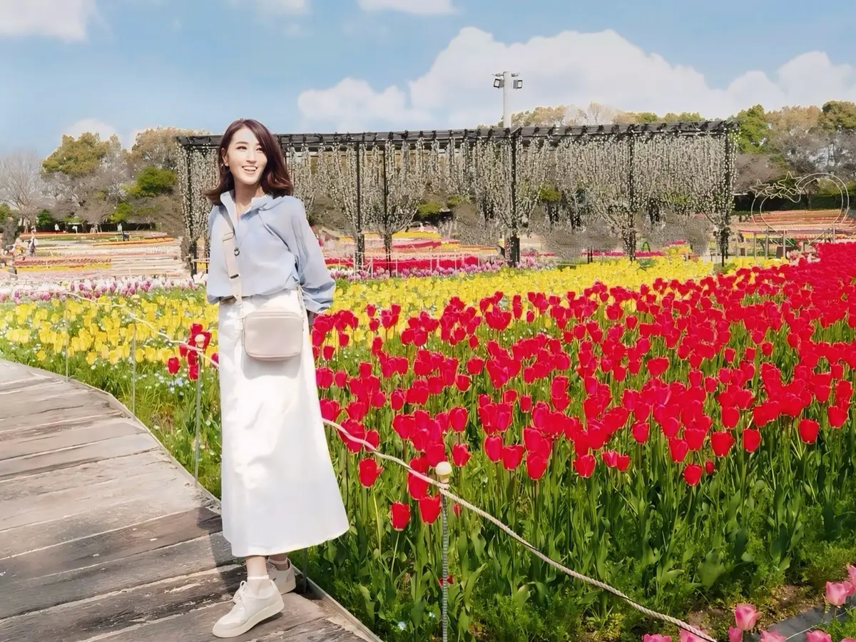 チューリップの花言葉は「博愛」「思いやり」など