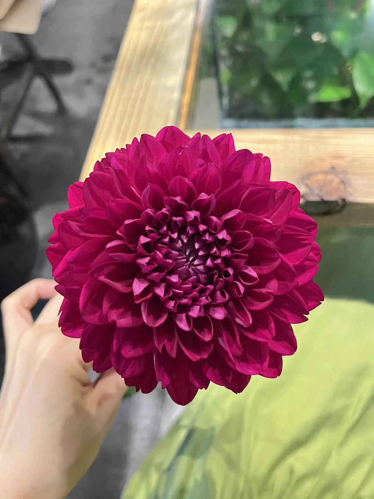 趣味を通じての画像_3