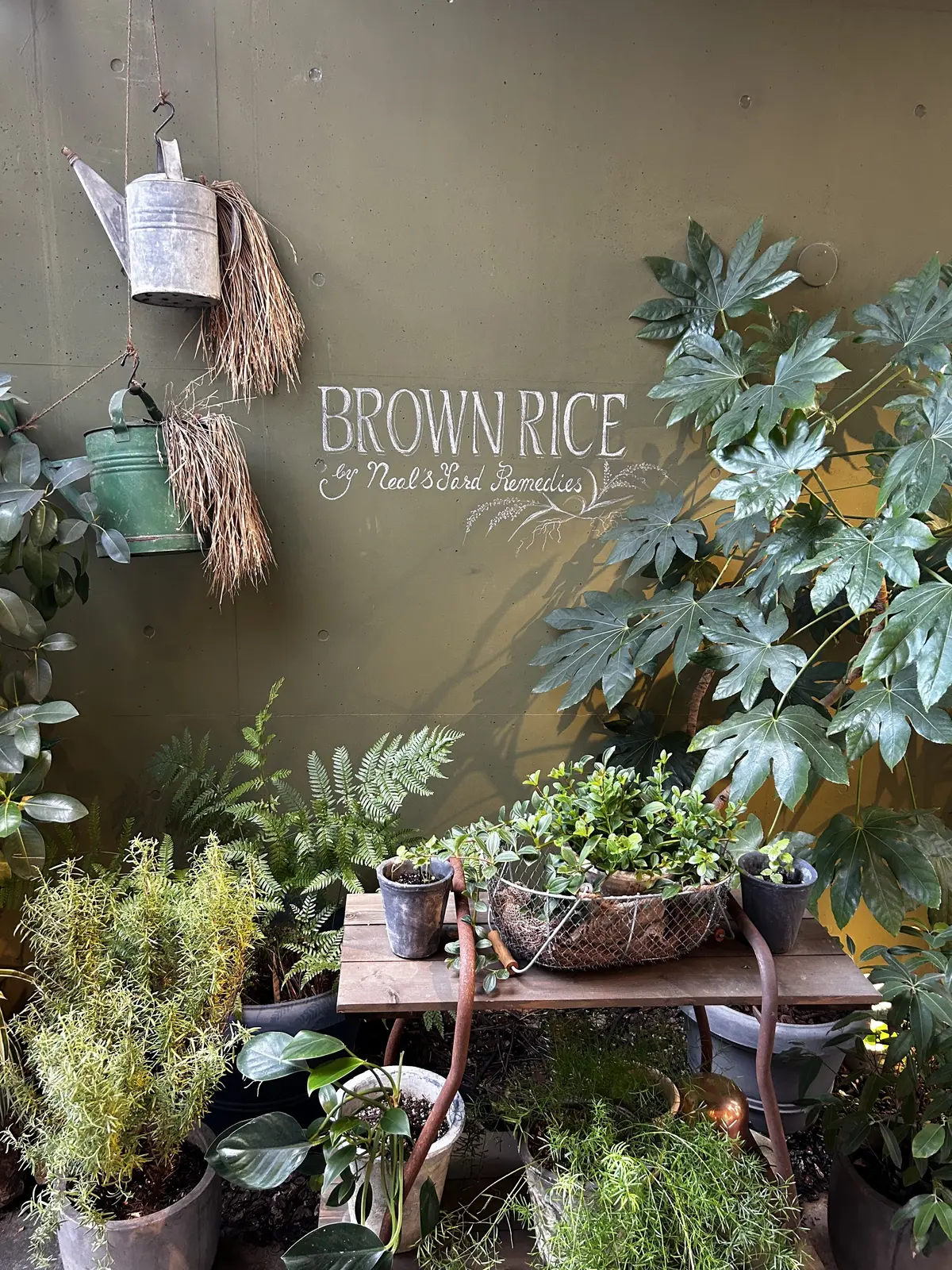 オーガニック&ヴィーガンの幸せランチ　　の画像_1