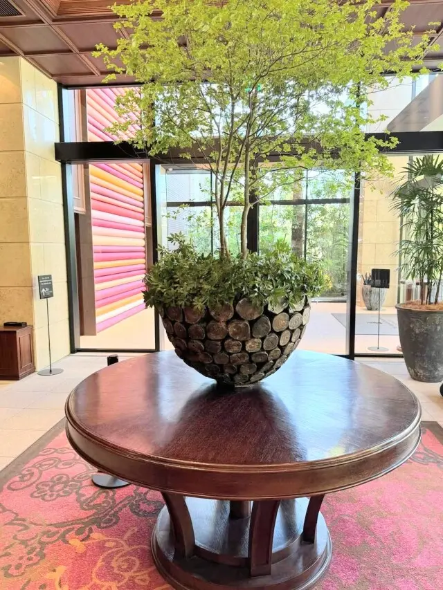 春のランチパーティー♡ワンピースの装い の画像_10