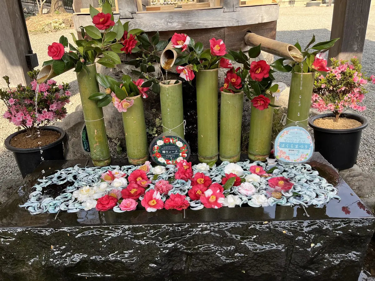 【調布】平日ソロ活♡深大寺へGO！の画像_9