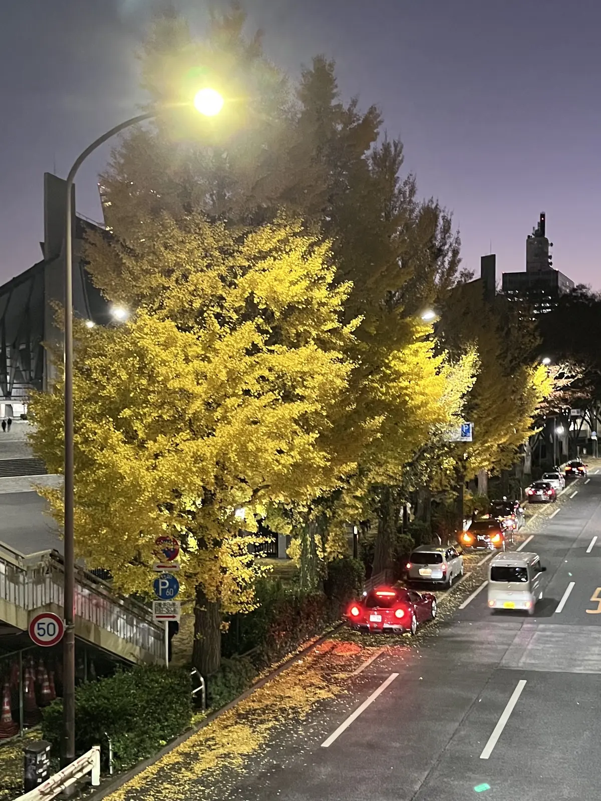 恵比寿でキラキラツリー観賞・夜はLiveの画像_16