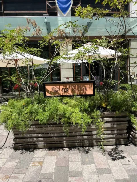 流れるように束ねるの画像_1