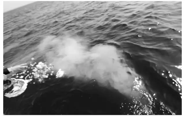 【今から知っておきたい！墓じまいのこと】の画像_2