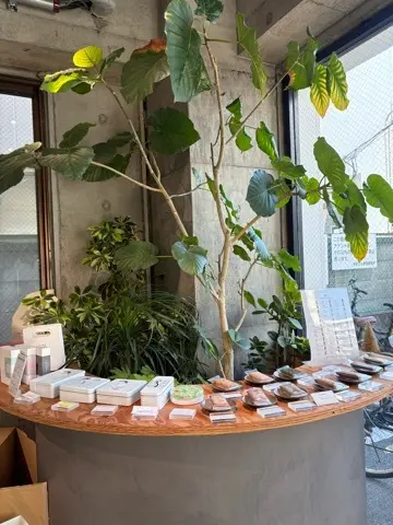 入手困難(？)BON BONS DE Kの画像_1