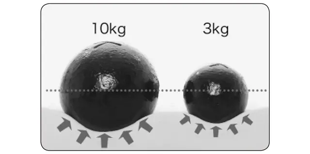 重さに比例して反発力が変わるのが天然ラテックスの特徴
