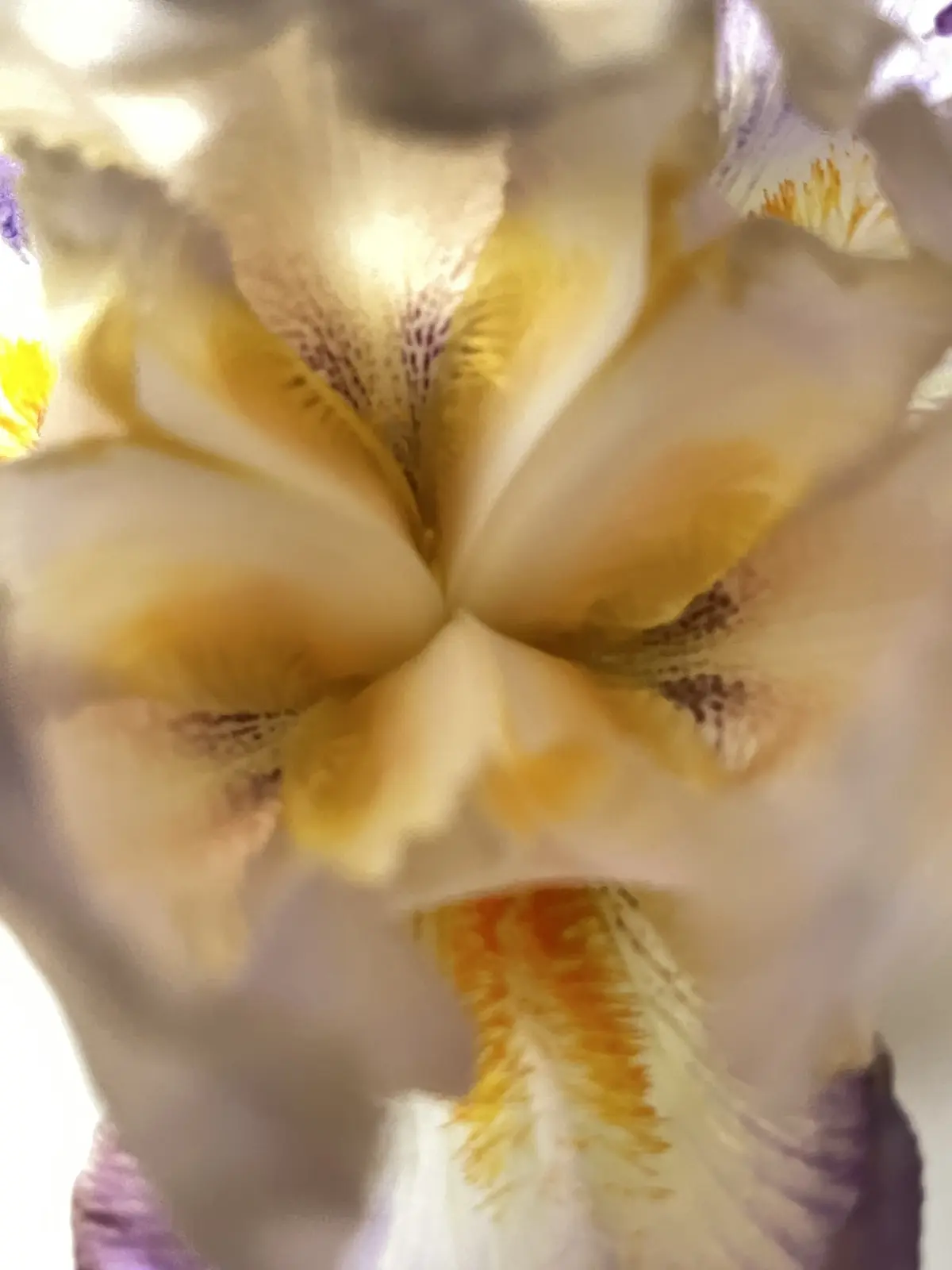 初めて選んだお花でブーケの画像_13