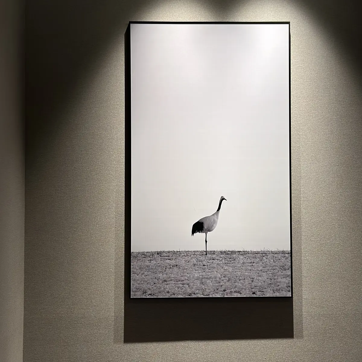 夏旅「ニセコ」ーファッション編ーの画像_7