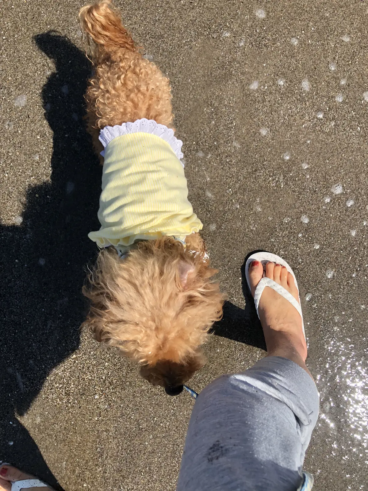 「いつも」の当たり前が幸せ。の画像_3