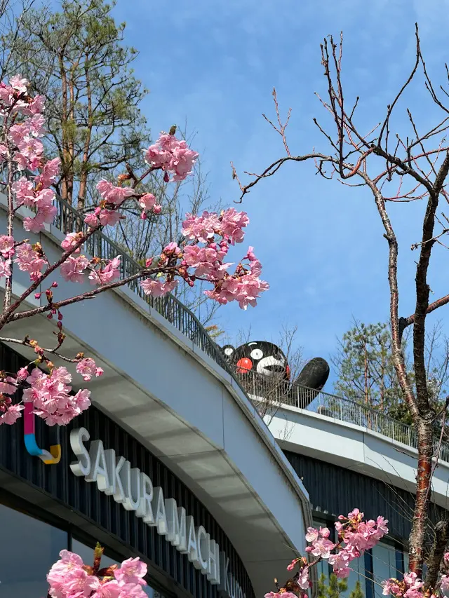 女子旅は〇〇にこだわりたい！！【熊本・阿の画像_1