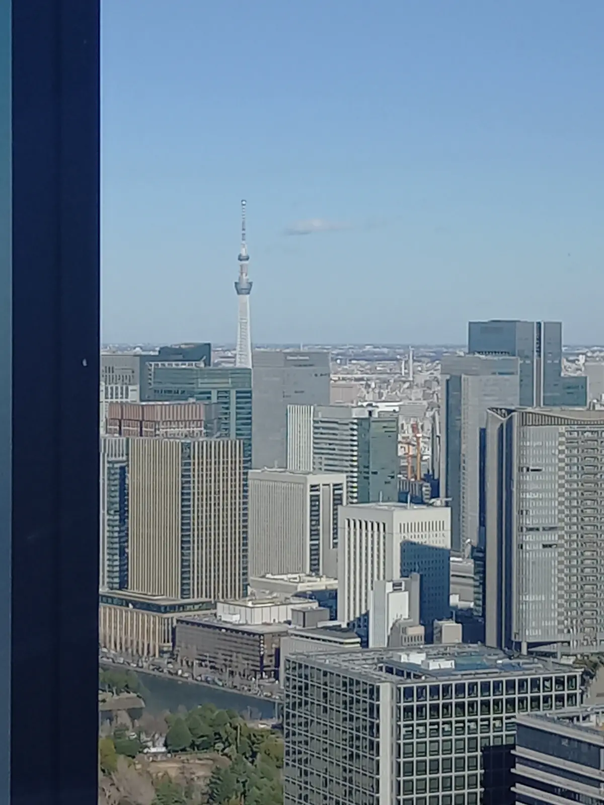 異空間体験⭐︎蜷川実花展に行きました⭐︎の画像_1