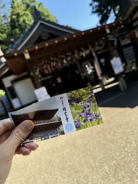 涼を求めて♪鎌倉おすすめランチと風鈴時間の画像_7