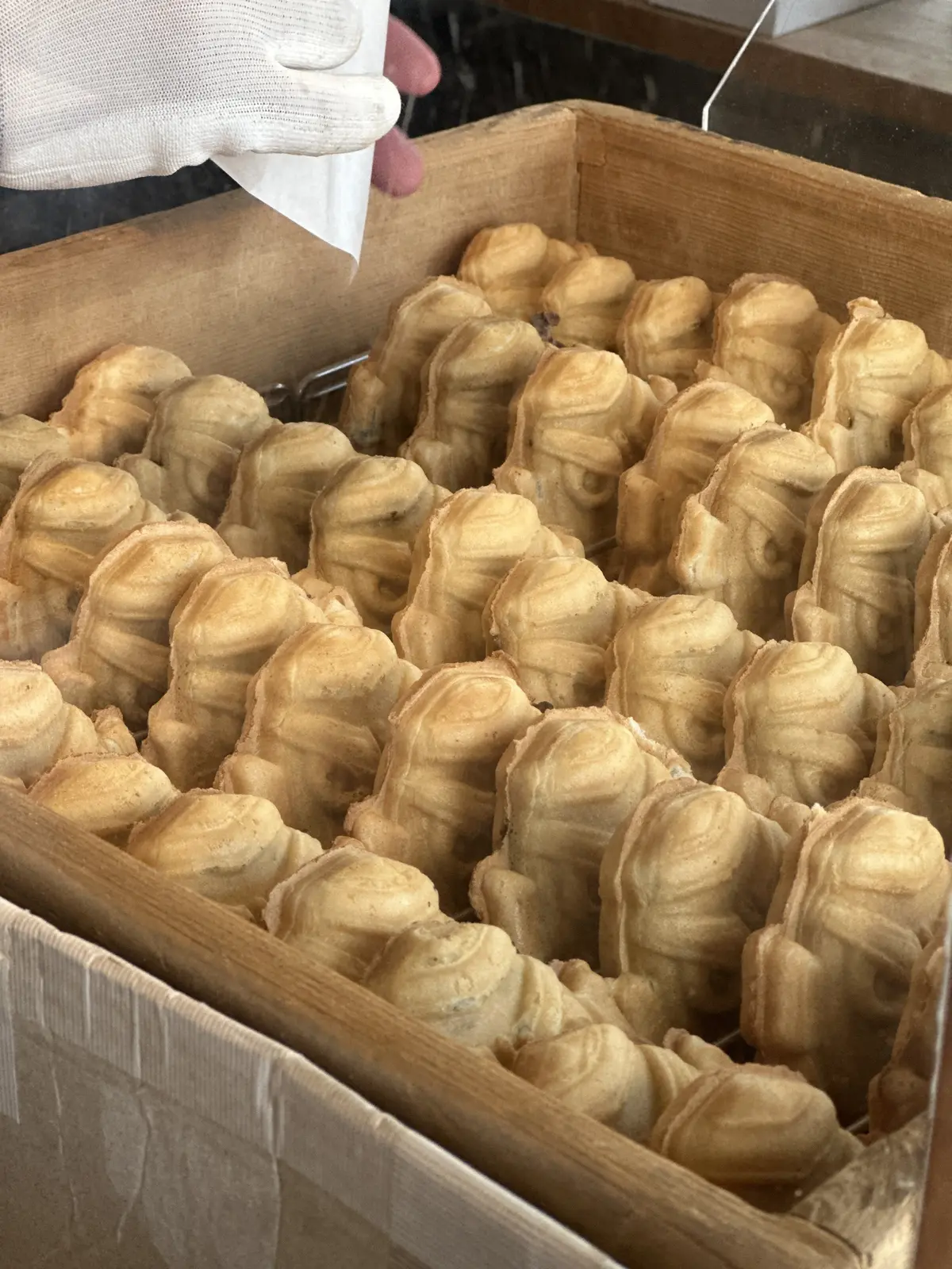 親子三代で行くはとバスツアーと真夏の高尾の画像_24