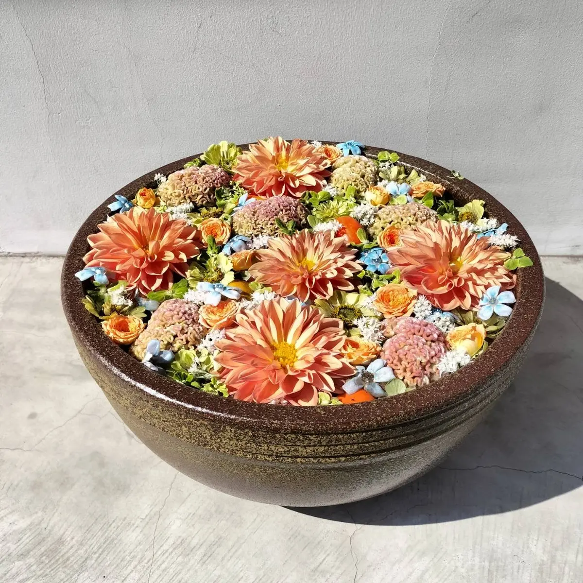 「深川花手水 2024秋」に行ってきましの画像_18