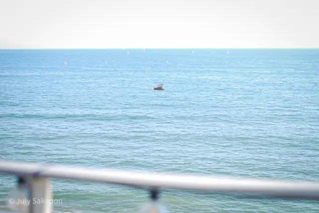 【さかぽんの冒険】海☆海☆海❤️@七里ヶの画像_11