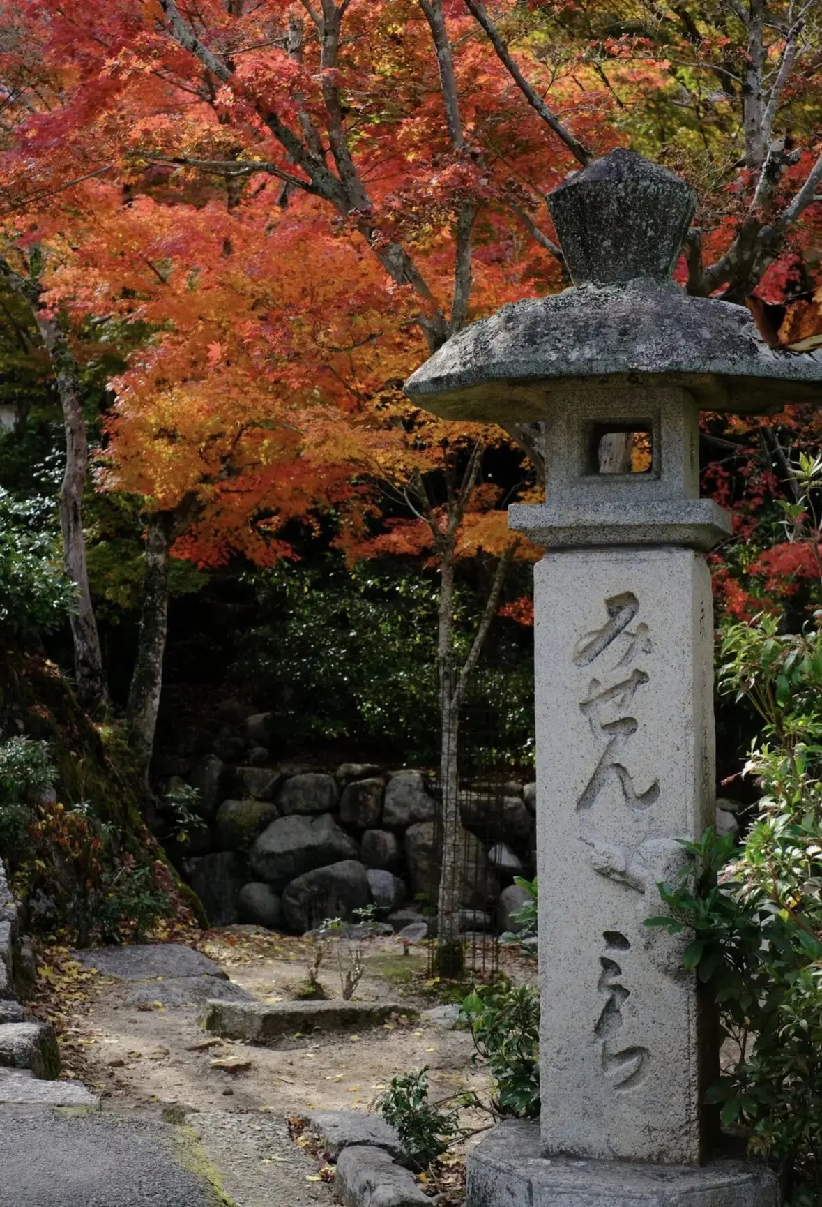 弥山は宮島の中央部にあり、標高は５３５ｍ