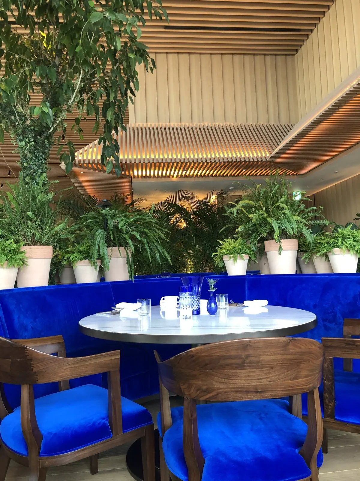 The Blue Room東京エディッシの画像_7