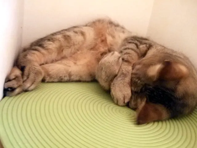 アラフィー女性のホンネ：穴があったら、入の画像_2