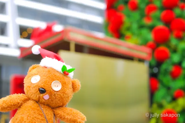 【さかぽんの冬支度】年末の贈り物を探しにの画像_13