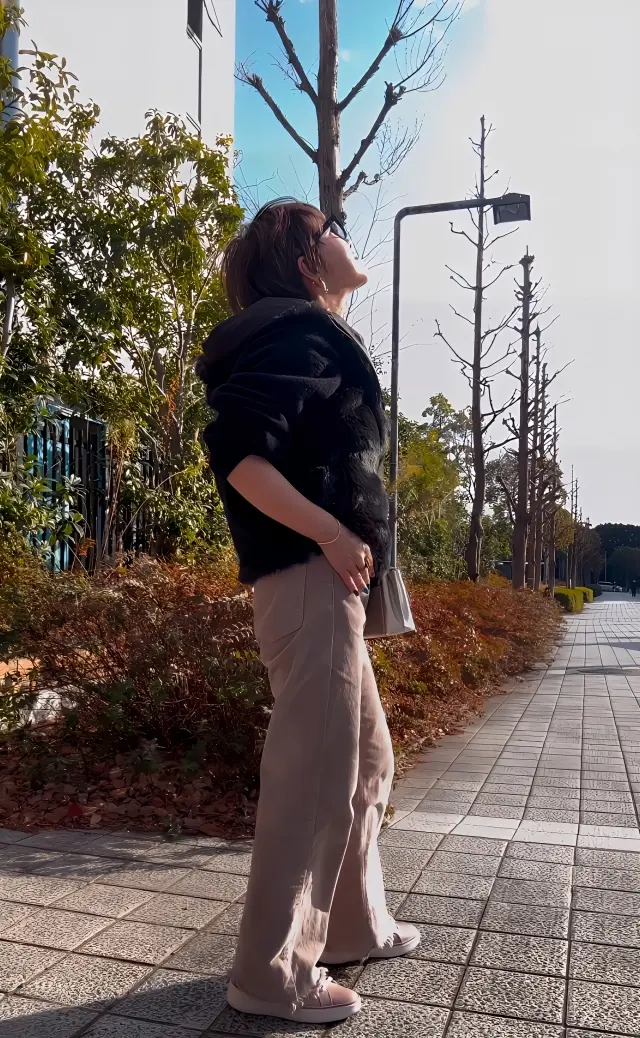 冬の風に吹かれて。の画像_1