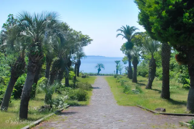 【さかぽんの冒険】海からの風香るレモン狩の画像_5