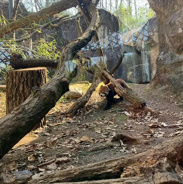 アルバムを振り返るたびに癒される可愛さ！の画像_3