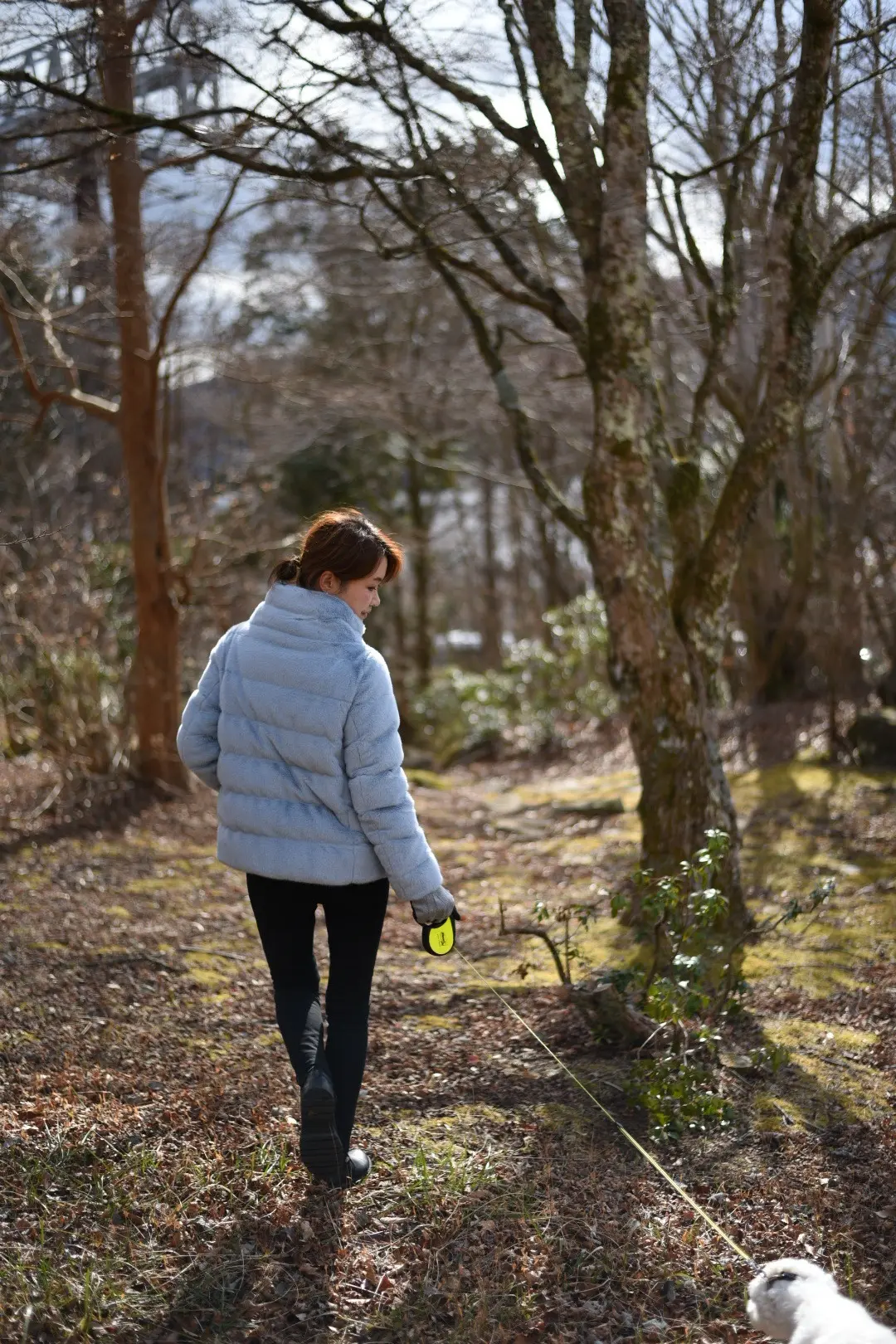 箱根神社へ新年のご挨拶⛩️の画像_16