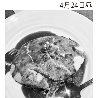 食事モニタリング