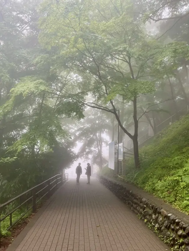 ミシュラン観光ガイド「ミシュラン・グリーンガイド・ジャポン」での3つ星、「日本遺産」の高尾山