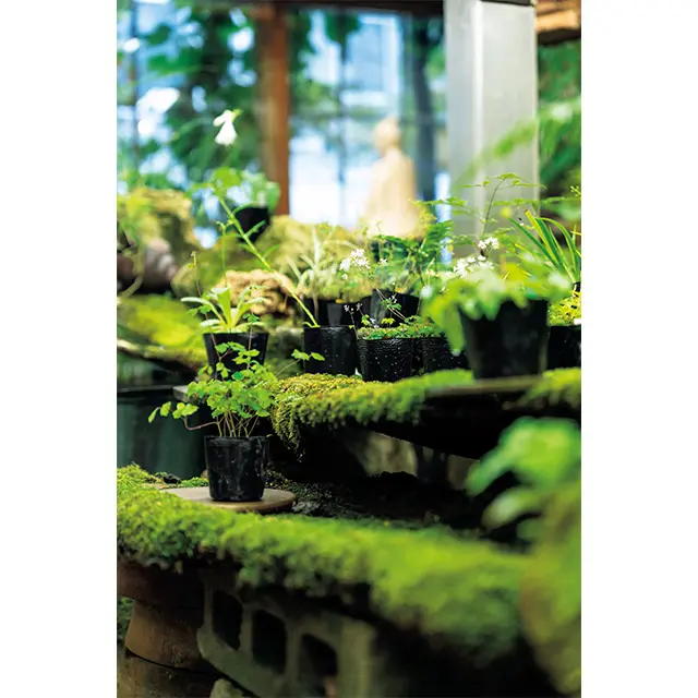 【「日帰り京都」まとめ】素敵な大人ほど“の画像_77