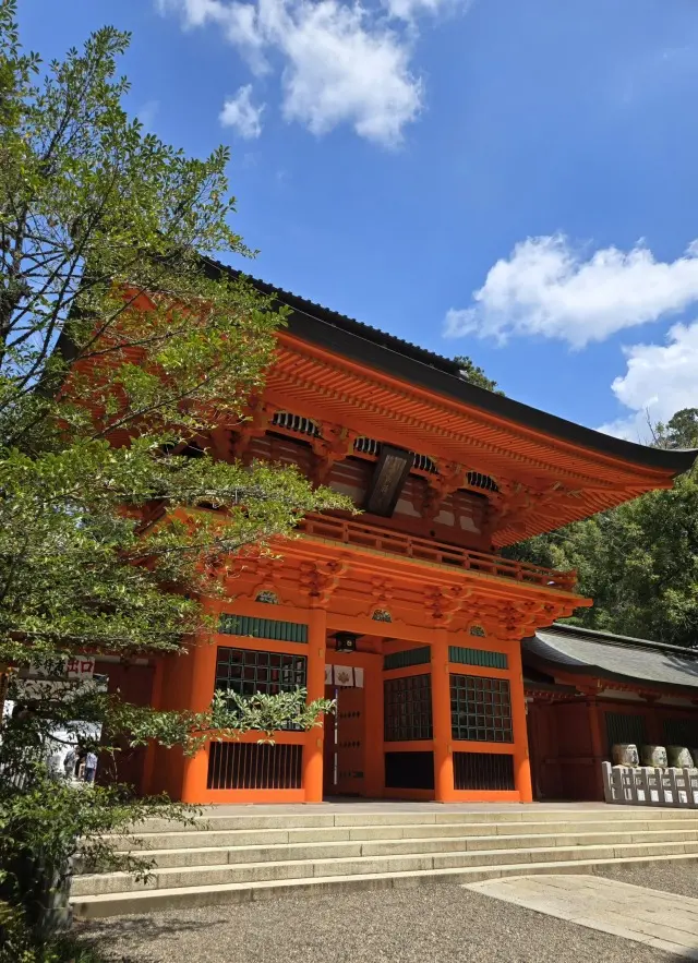 コーディネートで振り返る5月の画像_2