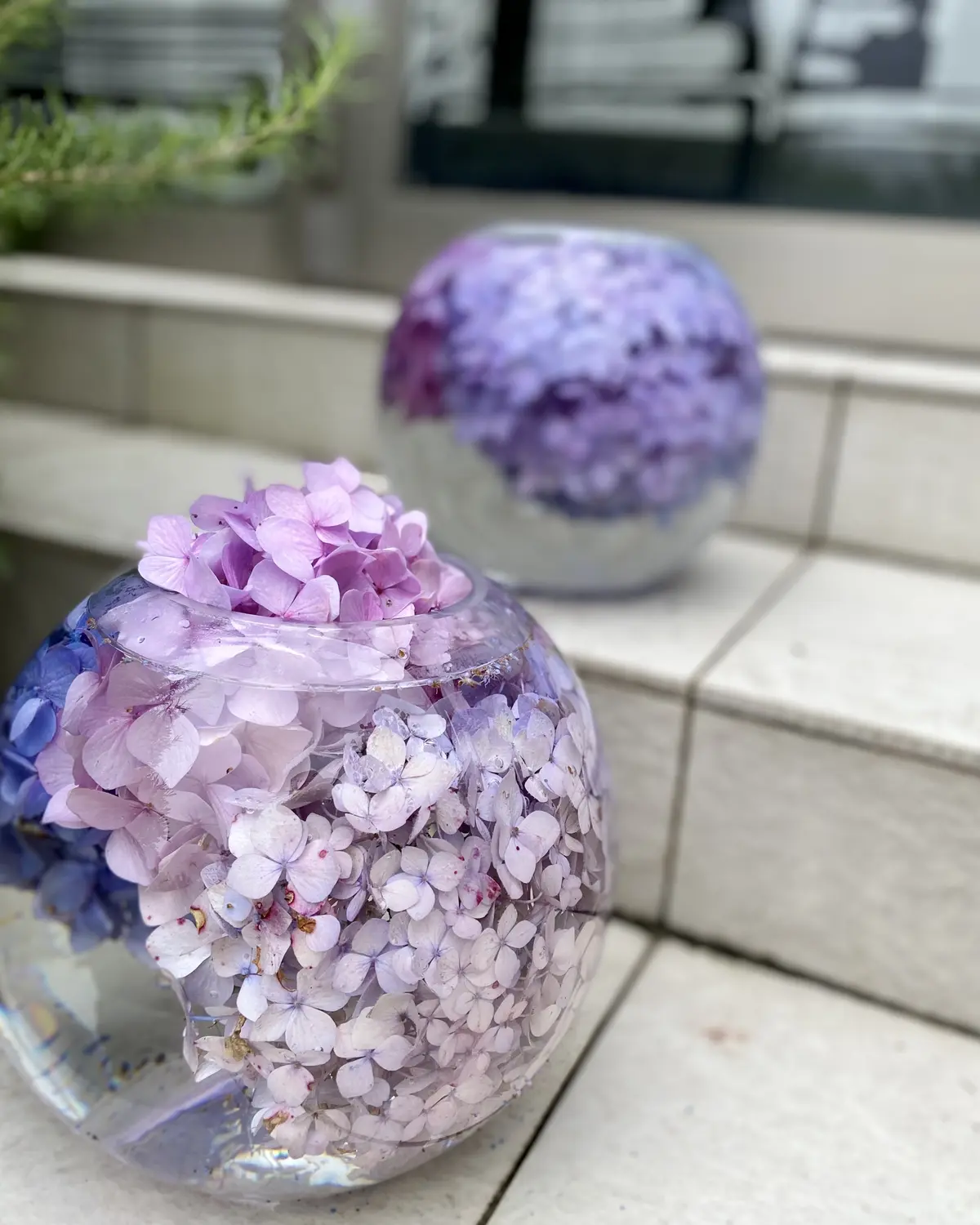 紫陽花を水のはったガラスの器に入れると素敵