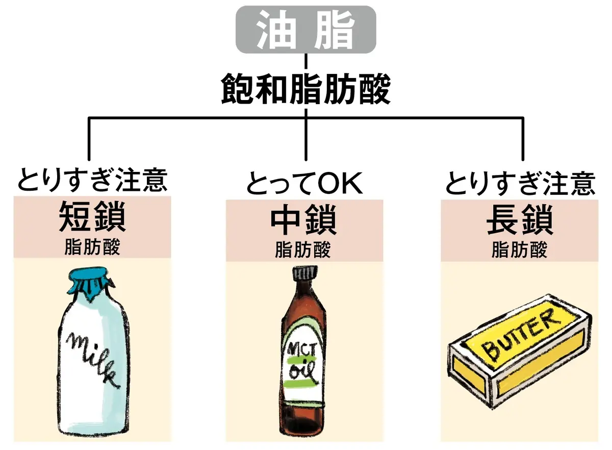 飽和脂肪酸　OurAge×Webエクラ