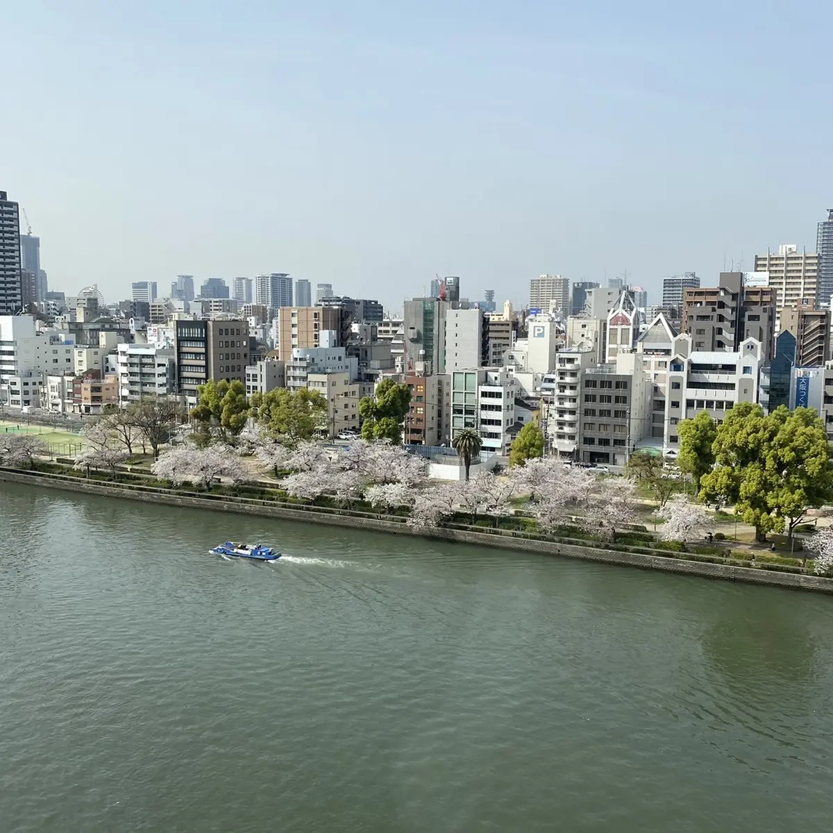 北新地でランチの後は桜の名所までお散歩♫の画像_6