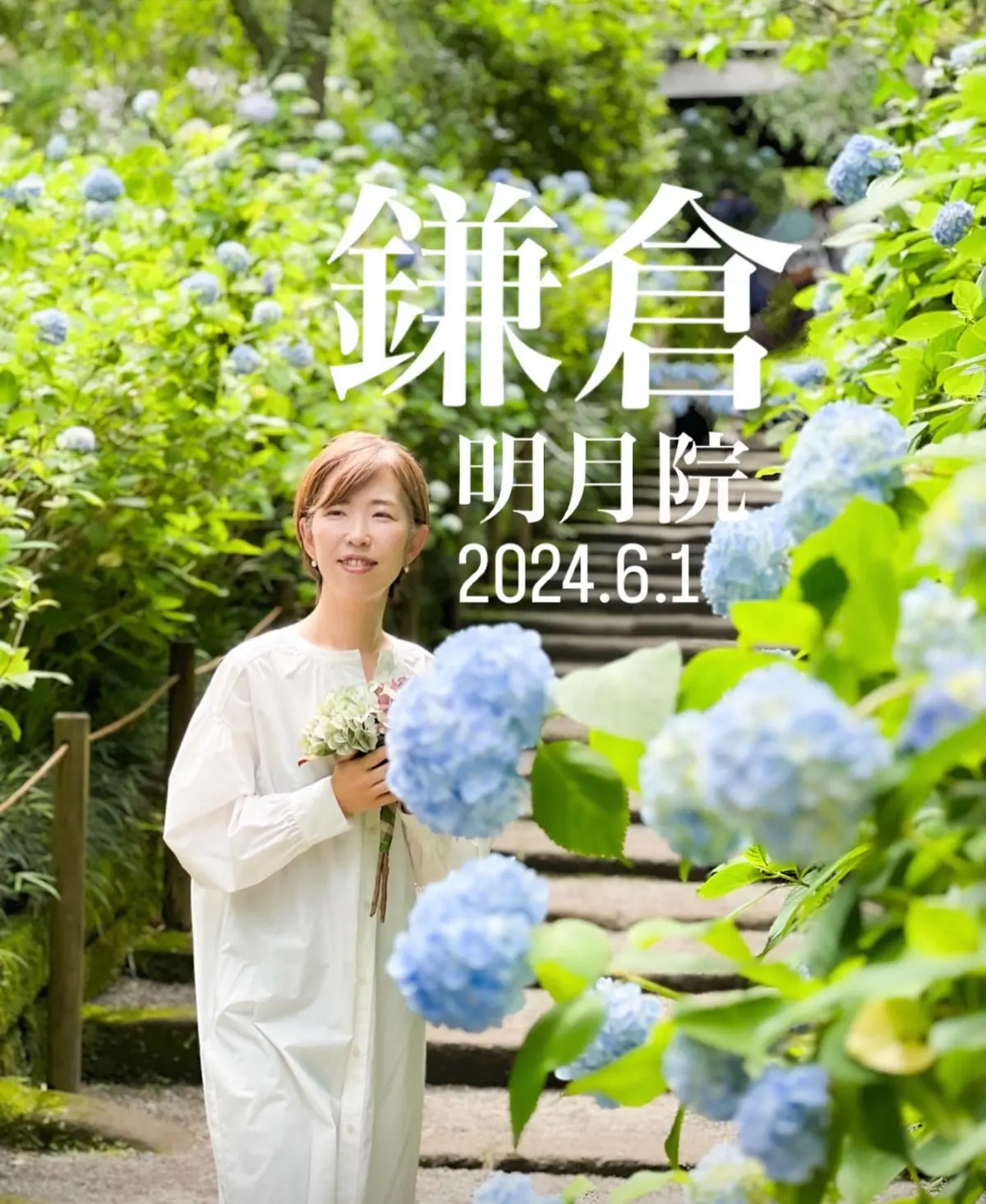 【鎌倉の紫陽花】2025.6.1撮影の画像_6