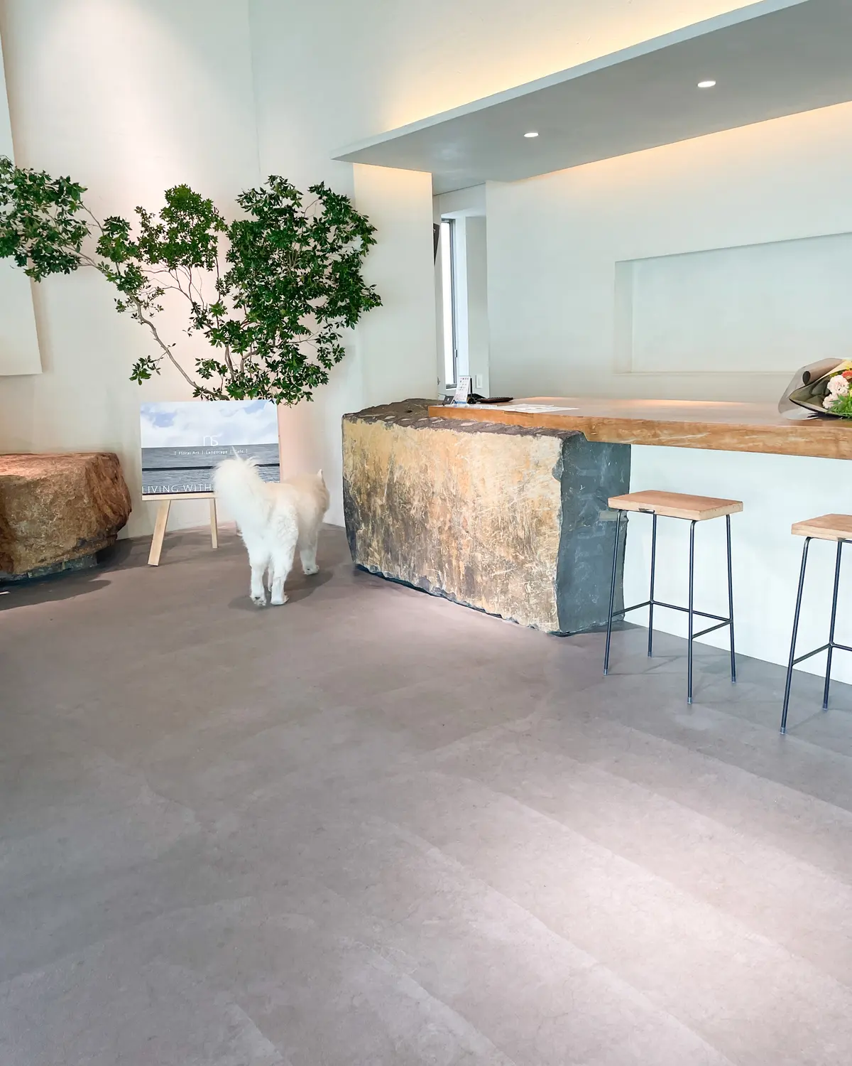 緑に囲まれた自然豊かな癒しの場所への画像_2