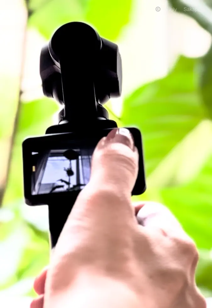 羽が生える【オズモポケット3】で VLOの画像_6