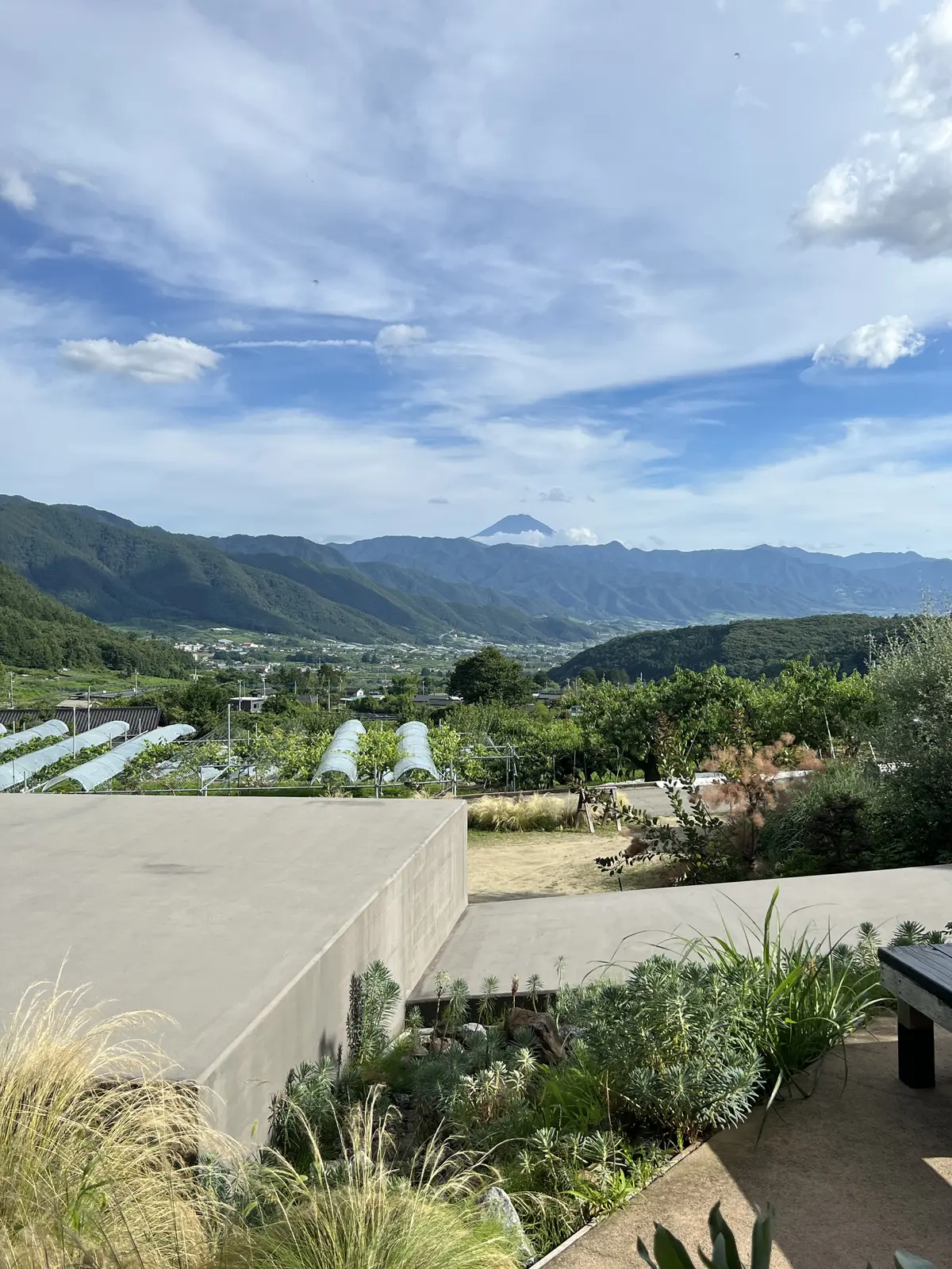 素敵なワインツーリズム体験＠98WINEの画像_2